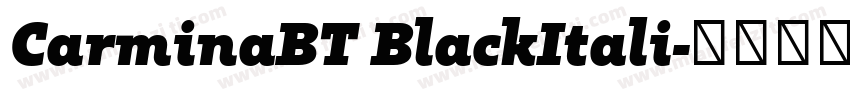 CarminaBT BlackItali字体转换